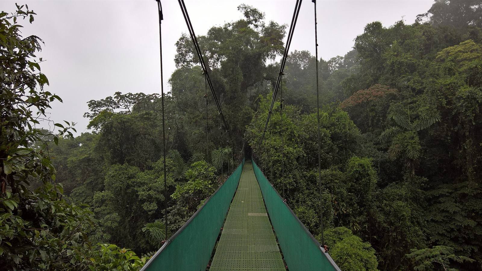 Hanging bridges · 15.5 km
